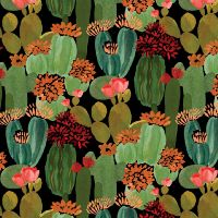 dsStella-DFN3646 Multi